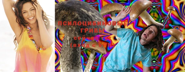 ешки Няндома